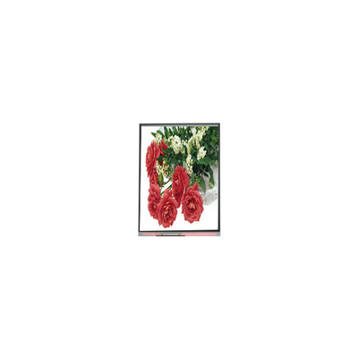 Goede prijs 5.5 inch C055SWY2-1 LCD-scherm voor mobiele telefoon online
