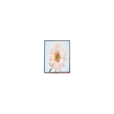 Goede prijs nieuwe 720*1280 C050HWA5-1 5,0 inch LCD-schermmodule online