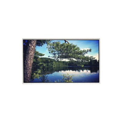 Goede prijs 21,5 inch originele HM215WU3-501 TFT LCD-displaypaneel online