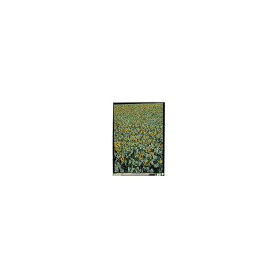 Goede prijs 720*1280 LS053K3SX01 5,3 inch tft lcd display LCD scherm voor mobiele telefoon online