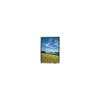 Goede prijs 5.0 inch LS050T3SX01 1080*1920 LCD scherm online