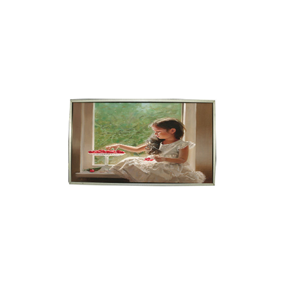 Goede prijs 23.0 inch LTM230HT05-V 30 Pins 1920*1080 LCD-schermpaneel online