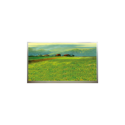 Goede prijs N173H6-L04 1920*1080 17,3 inch LCD scherm online