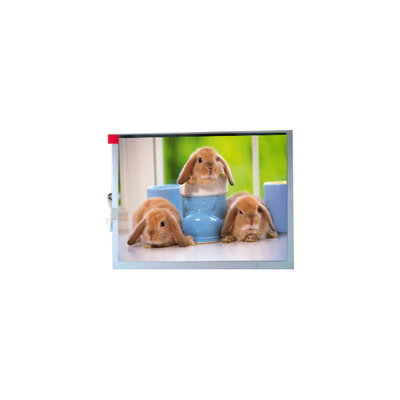 Goede prijs Nieuw TM070SDH03 800*600 7,0 inch TFT-LCD schermpaneel online