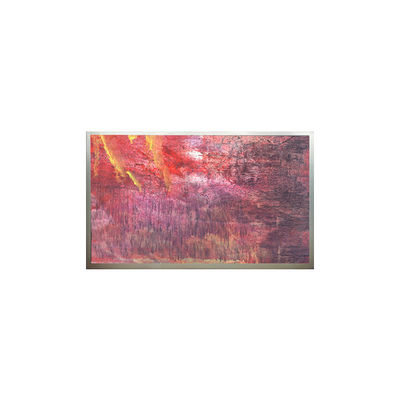 Goede prijs Originele 22,0 inch 1680*1050 Resolutie LCD scherm M220Z1-PS3 online