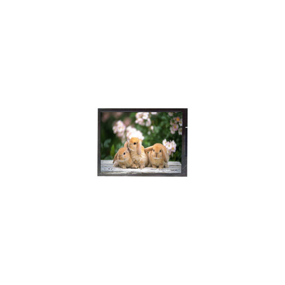 Goede prijs 11.6 inch B116XAK02.0 1366*768 Laptop LCD-schermpaneel online