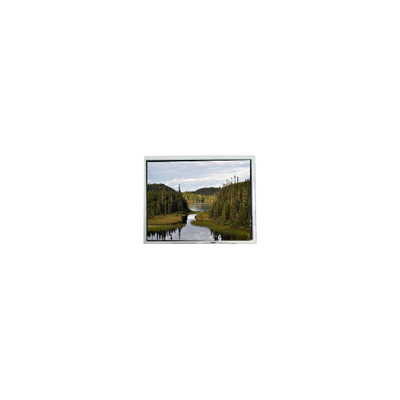 Goede prijs Nieuw 12,1 inch EV121WXM-N80 1280*800 Resolutie LCD Display Panel online