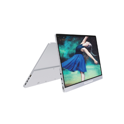 Goede prijs Draagbare monitor 15,6