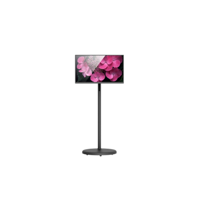 Goede prijs 23.8 inch touchscreen draagbare monitor - gaming-ready all-in-one online