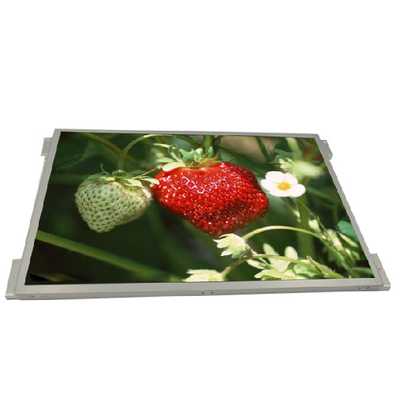 Goede prijs IPS van G104XVN01.0 1024x768 Industriële 10,4 Duimlcd Vertoning online