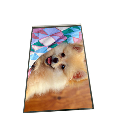 Goede prijs AUO 8,0 duimlcd 800×1280 TFT LCD vertoning B080EAK02.2 online