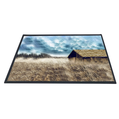 Goede prijs De duimb101xan01.2 1366x768 TFT LCD Comité van AUO 10,1 het Scherm online
