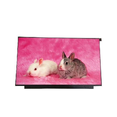 Goede prijs 15,6 duim1366x768 LEIDENE Notitieboekjelcd het Schermvertoning B156XTN01.0 online